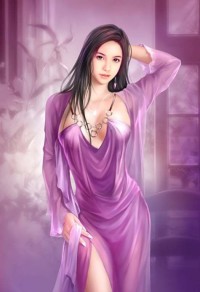 豪门闪婚:总裁的生子新娘