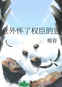 意外懷了權臣的崽