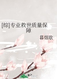 [综]专业救世质量保障