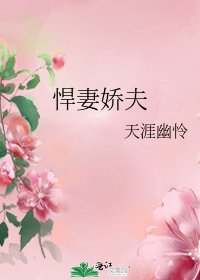 悍妻娇夫